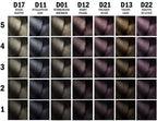 L’Oréal Professionnel Majirel - afbeelding 34
