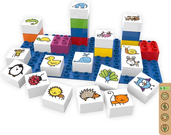 BiOBUDDi Leren - afbeelding 22