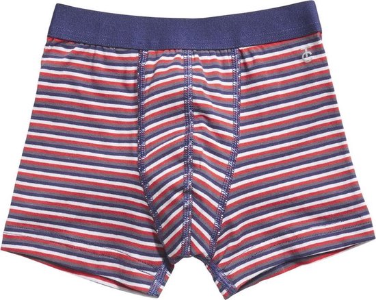 Ten Cate - Jongens - 2-Pack Boxershorts Dino Streep  - Blauw - 110/116 - afbeelding 3