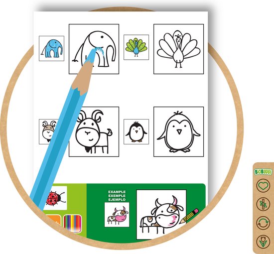 BiOBUDDi Leren - afbeelding 26