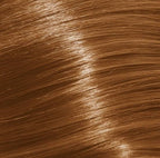 Xp100 Hair Dye 9.13 Very Light Blond / Ash / Gold - 100ml - afbeelding 2