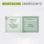 Nioxin System 2 - Conditioner - voor Natuurlijk Haar - Anti Haaruitval - Gevorderde Uitdunning - 300ml - afbeelding 2