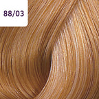 Wella Color Touch Plus - afbeelding 16
