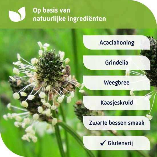 Natterman voor alle hoest 180 ml - afbeelding 7
