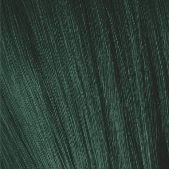 IGORA - afbeelding 111