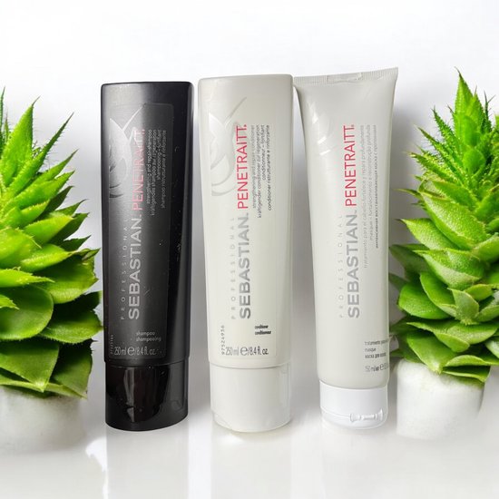 Sebastian Penetraitt Set Shampoo 250 ml + Conditioner 250 ml + Masker 150 ml - afbeelding 3