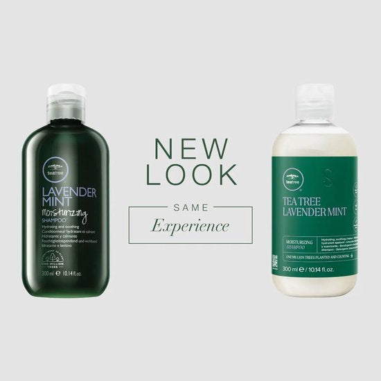 Paul Mitchell - Tea Tree Lavender Mint Shampoo 300ml - afbeelding 4