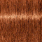 Indola Profession Permanent Caring Color Red & Fashion 60ml – 6.4 donker blond koper - 3 tubes - afbeelding 5