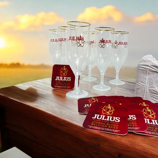 6 X Luxe Bierglas van JULIUS met 100 st bierviltjes - afbeelding 1