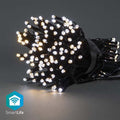 Nedis SmartLife Decoratieve LED - Koord - Wi-Fi - Warm tot Koel Wit - LED's - m - Android™ / IOS - afbeelding 1