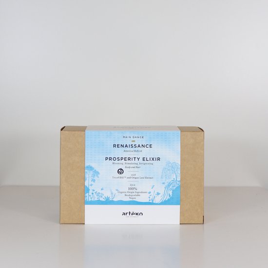 RAIN DANCE RENAISSANCE PROSPERITY ELIXIR AST. 10 AMPOULE - afbeelding 2