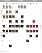 Goldwell - Colorance - Bus - afbeelding 10
