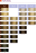 ISO i color Permanent Conditioning Crème Color 60ml 6R (6.5) Rich Scarlet Red x 6 tubes - afbeelding 4