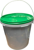 Biobuddi MIX van 3500 bouwstenen (compatible met o.a. LEGO) meer dan 3,5 kg in grote volle 10 liter emmer + 6 x bouwplaat 25.5 cm x 25.5 cm - afbeelding 2